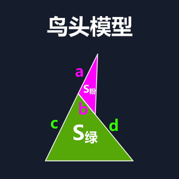 鸟头模型